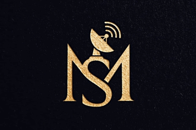 MS NET-logo